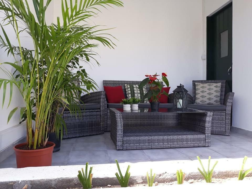 Azores Patio House Ponta Delgada المظهر الخارجي الصورة
